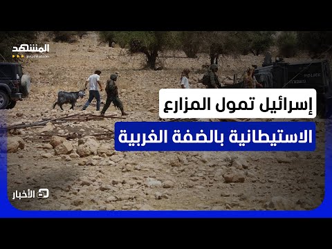 خطة إسرائيلية لدعم مجموعة "فتيان التلال" الاستيطانية المتطرفة