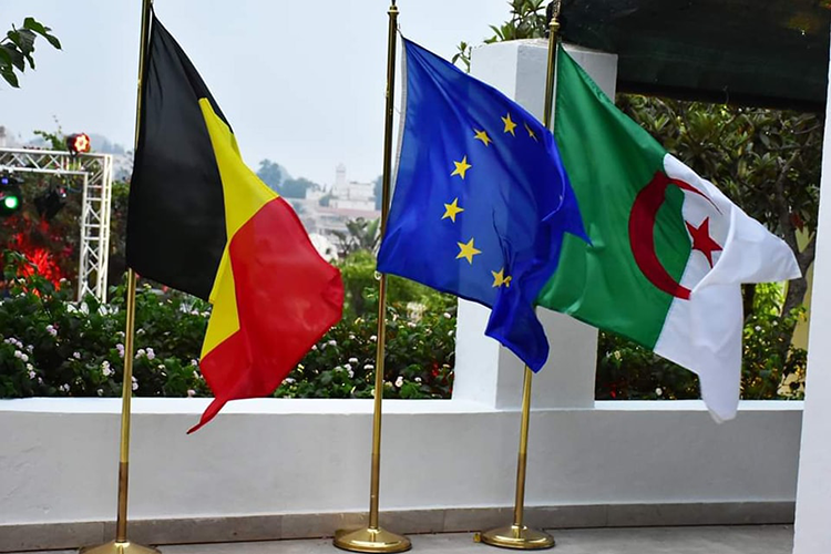 هذا هو المطلوب لمواجهة رسوم بروكسل على صادرات الجزائر