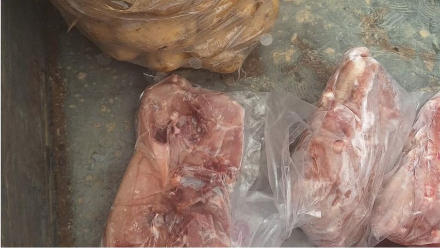 إتلاف نحو ربع طن من الدجاج المجمد مجهول المصدر في إربد