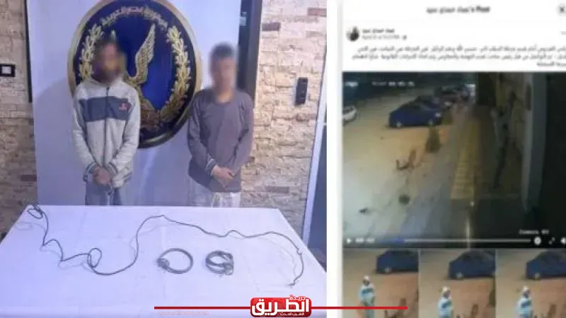 ضبط عاطل وتاجر خردة بالقاهرة بتهمة سرقة أسلاك كهرباء لافتة محل