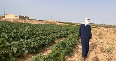 الحبس والغرامة عقوبة التعدى على الأراضى الزراعية