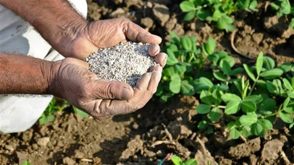 الزراعة تنفي إلغاء صرف الأسمدة المدعمة: استمرار الدعم لـ5 ملايين مزارع