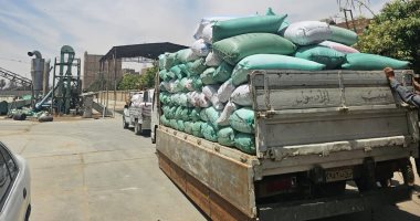 أطنان الذهب الأصفر تنطلق في العربات من المزارع إلى مواقع التخزين.. وكيل تموين الأقصر يؤكد على دعم المزارعين في 4 مواقع تخزينية بسعة 43 طن قمح.. والمزارعون ينطلقون في عمليات الحصاد والدراسة للقمح قبل ا