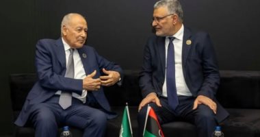 أبو الغيط يبحث مع رئيس المجلس الأعلى الليبي دفع التسوية السياسية