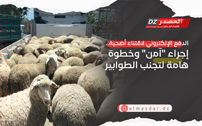 الدفع الإلكتروني لاقتناء أضحية.. إجراء "آمن" وخطوة هامة لتجنب الطوابير