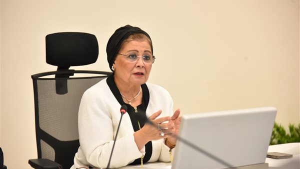 نائب وزير الصحة تبحث مع الجامعات تنفيذ الاستراتيجية الوطنية للسكان والتنمية وخطة 2025–2027