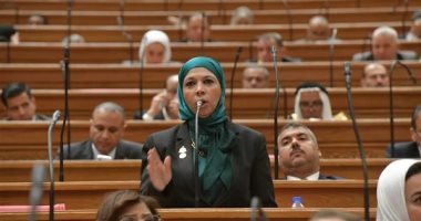 النائبة مريم العزب: قانون منع الممارسات الاحتكارية يساهم فى بناء اقتصاد قوى