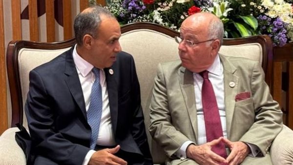 وزير الخارجية يشدد على إنشاء مركز برازيلي لتخزين الغلال بـ"اقتصادية قناة السويس"