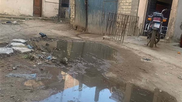 قرية العلاقمة تغرق في مياه الصرف الصحي.. معاناة يومية ونداءات عاجلة للتدخل