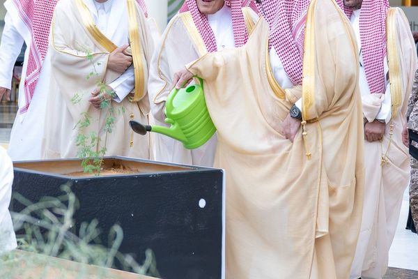 أمير القصيم: القضايا البيئية ركيزة أساسية لتحقيق التنمية المستدامة