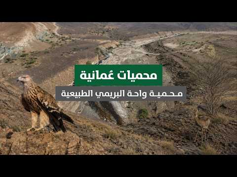 محـمــيات عُمــانية ..مـــحـمـيـــة واحــة البريمي الطبيعية.