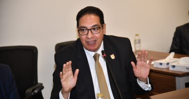 رئيس جامعة القاهرة يستعرض أمام النواب جهود نشر ثقافة حقوق الإنسان