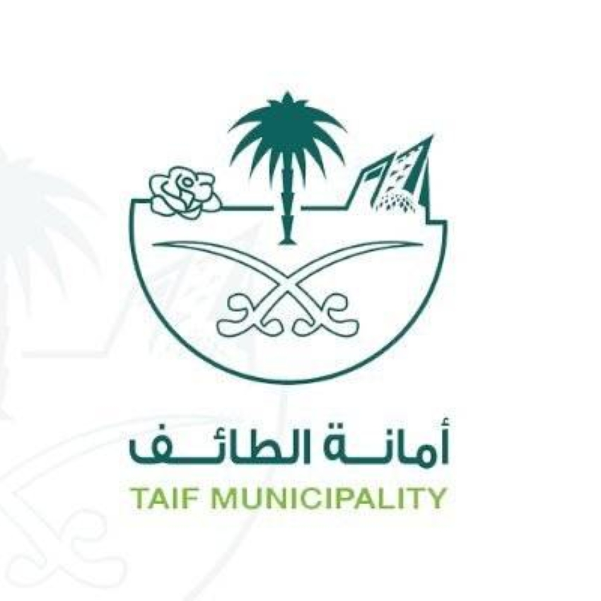 أمانة الطائف تعزّز جاهزية أكثر من 120 متنفسًا سياحيًا لاستقبال الزوار خلال الصيف