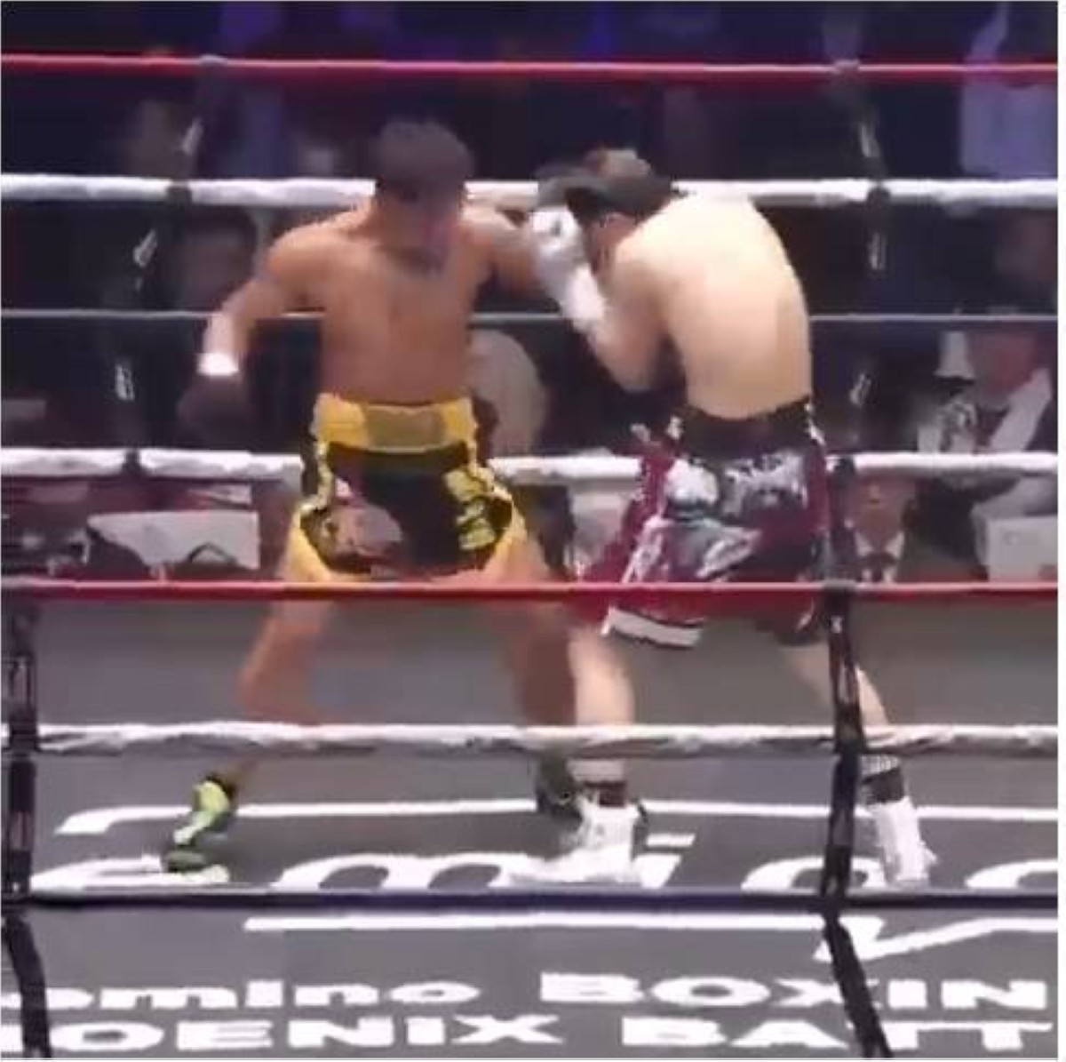 أغرب انتصار في الملاكمة.. ضربة قاضية مقابل 40 لكمة