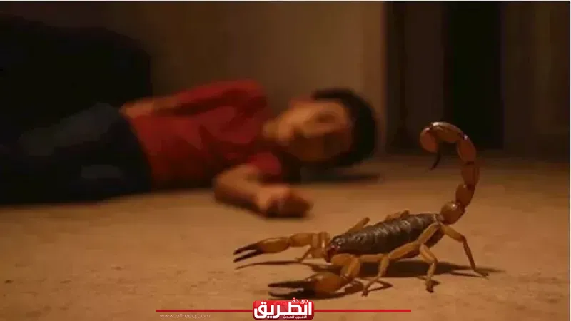«بعد مهاجمتها للمواطنين».. كيف تحمي نفسك من هجوم ولدغات العقارب؟