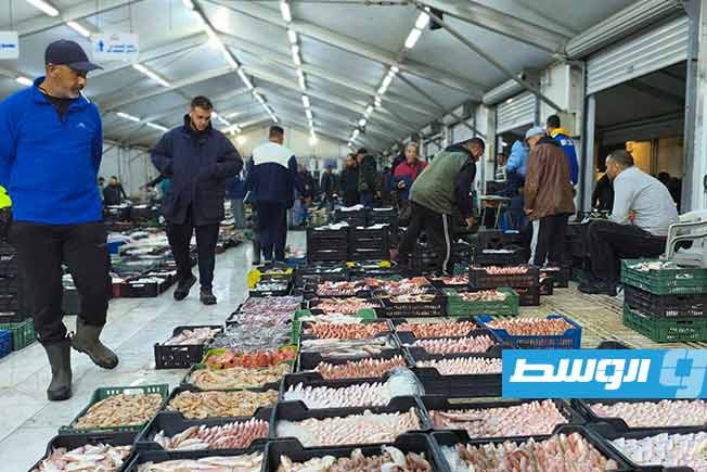 «الاقتصاد»: انخفاض أسعار بعض أنواع الأسماك في طرابلس بنسب تصل إلى 59%