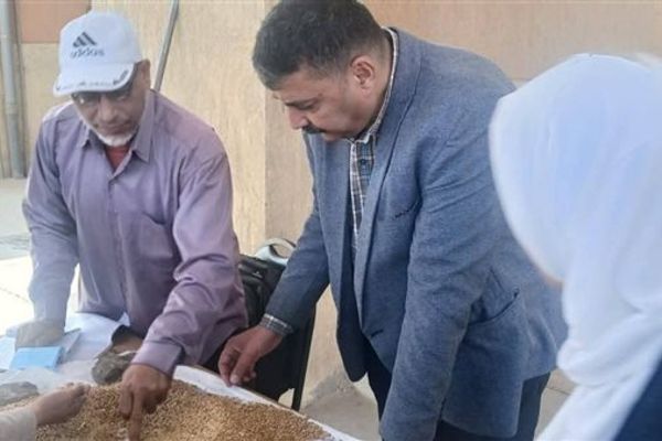 حملات تموينية بالمنوفية تضبط 4 أطنان مواد خام وأعلاف بلا مستندات وتحرر 243 محضرًا
