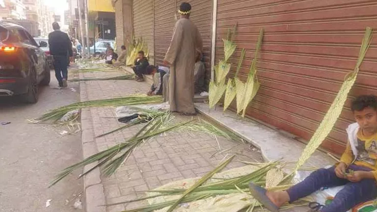 الفيوم تتزين بـ "الخوص وسنابل القمح" في احتفالات أحد الشعانين