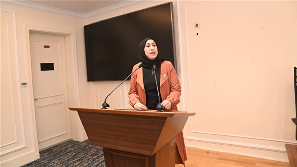 النائبة صافيناز طلعت تفتح ملف استثمارات أموال التأمينات أمام “خطة النواب”