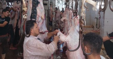 خلى عيدك بلا غرامات .. اعرف عقوبات الذبح في الشوارع بالمحافظات