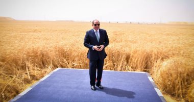 عصام عبد القادر يكتب عن تفاصيل حديث الرئيس السيسي حول مشروع الدلتا الجديدة: التنمية الزراعية.. البنية العملاقة.. الاستثمار المتكامل.. خلق المدن الجديدة