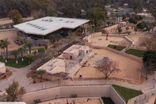 حديقة حيوان أبو سليم في ليبيا.. من مقابر جماعية إلى متنفس للعائلات