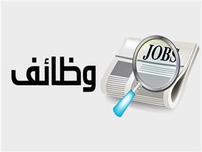 طريقة التقديم على الوظائف الحكومية 2026 عبر البوابة الجديدة