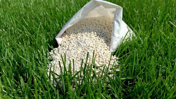 باستثناء سلفات النشادر المخصوص، انخفاض أسعار الأسمدة اليوم في الأسواق