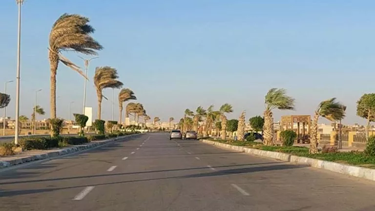 طوارئ بجنوب سيناء لمواجهة نشاط الرياح المثيرة للرمال