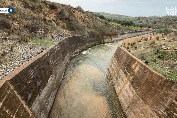 تدفقات غزيرة من سدة تحويلة العروس تعزز مخزون بحيرة سد الأبرش في ريف طرطوس بعد أمطارموسميةوفيرة