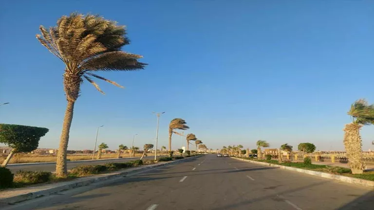 "شبورة مائية ورياح نشطة".. تعرف أبرز الظواهر الجوية المتوقعة اليوم