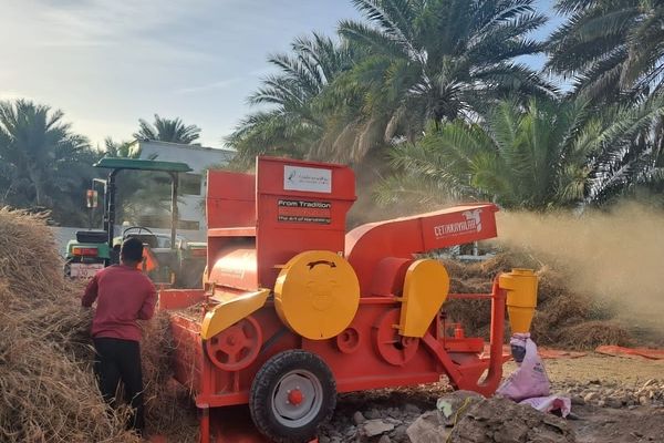 بدء حصاد القمح بولايتي الرستاق والعوابي