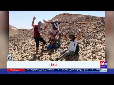 وزير التعليم العالي يهنئ جامعة المنصورة بمناسبة اكتشاف علمي عالمي جديد في مجال الحفريات الفقارية