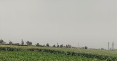 طقس غير مستقر وياح محملة بالأتربة واختفاء الشمش لفترات طويلة فى المنيا
