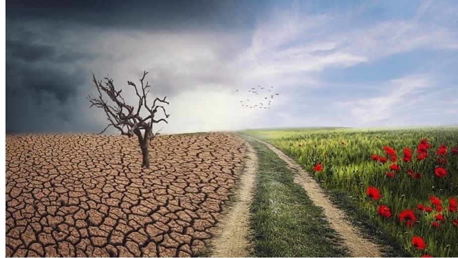 كيف تؤثر التغيرات المناخية على المواسم السياحية؟