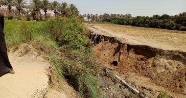 عقوبات مشددة للتعدى على الأراضى الزراعية.. حبس وغرامة تصل لـ 5 ملايين جنيه
