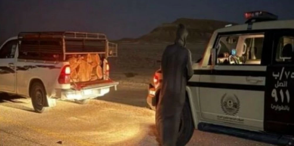 ضبط مخالف لنقله حطباً محلياً في محمية طويق الطبيعية