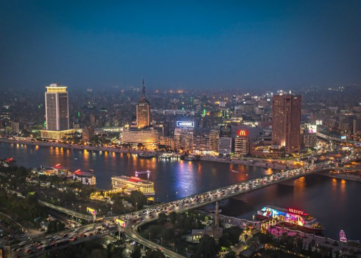 القبض على شخص تعدى على كلب ضال بالضرب في القاهرة