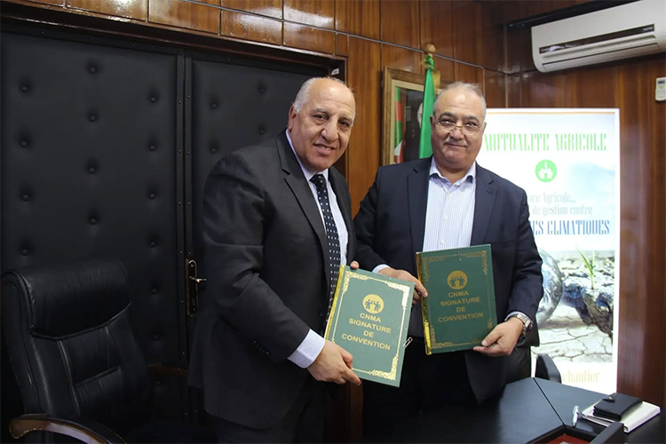مرافقة المنتجات الفلاحية الجزائرية نحو الأسواق الدولية