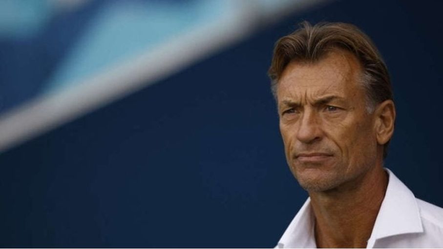بالفيديو.. هل يقود رينارد الأهلي المصري بعد الرحيل عن السعودية؟