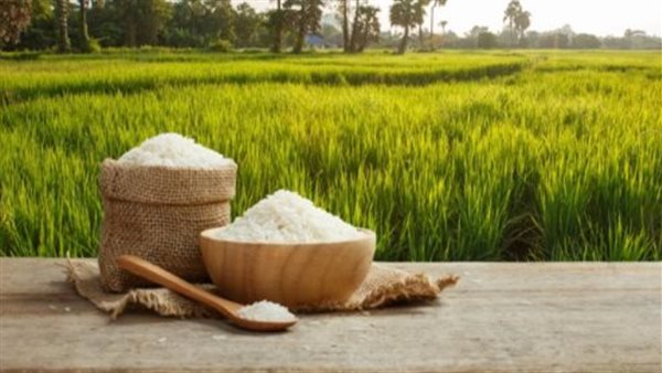 تعرف على سعر الأرز اليوم الخميس بالسوق المحلية