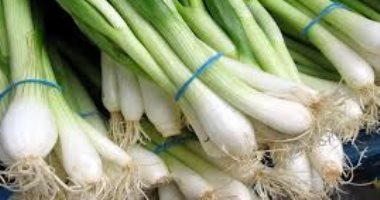 البصل الأخضر والخس والشاى والنعناع.. خضراوات ومشروبات ضرورية مع الرنجة