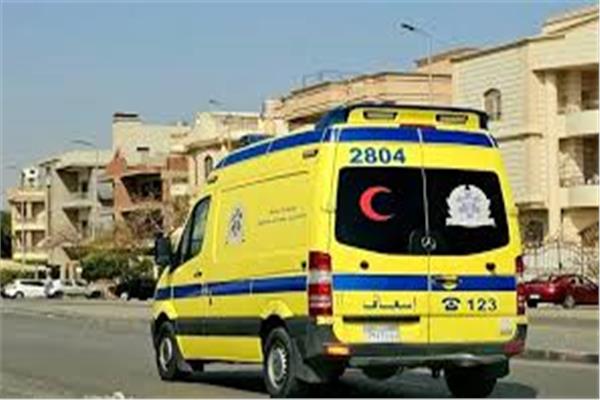 مصرع شخصين إثر تصادم سيارتي نقل بطريق المعمورة بالإسكندرية