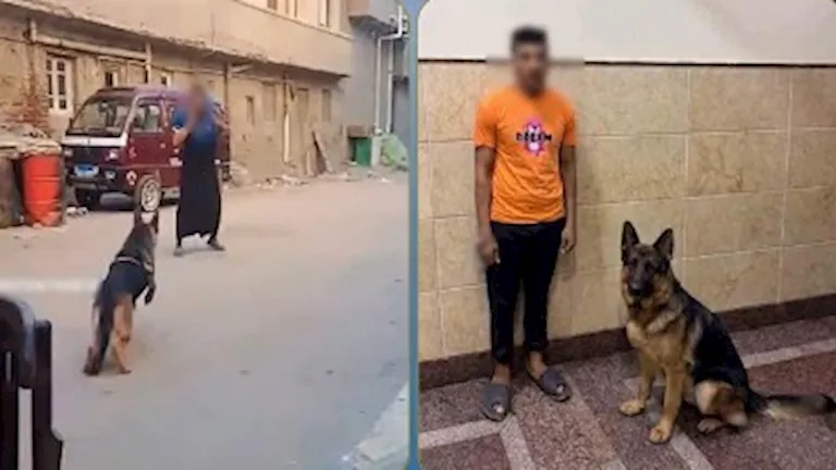 بعد تداول فيديو.. القبض على صاحب كلب اعتدى على سيدة بالبحيرة