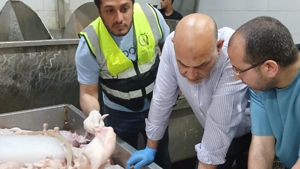 ضبط 3 أطنان أوراك وأجنحة دواجن غير صالحة للاستهلاك الآدمي بالقليوبية