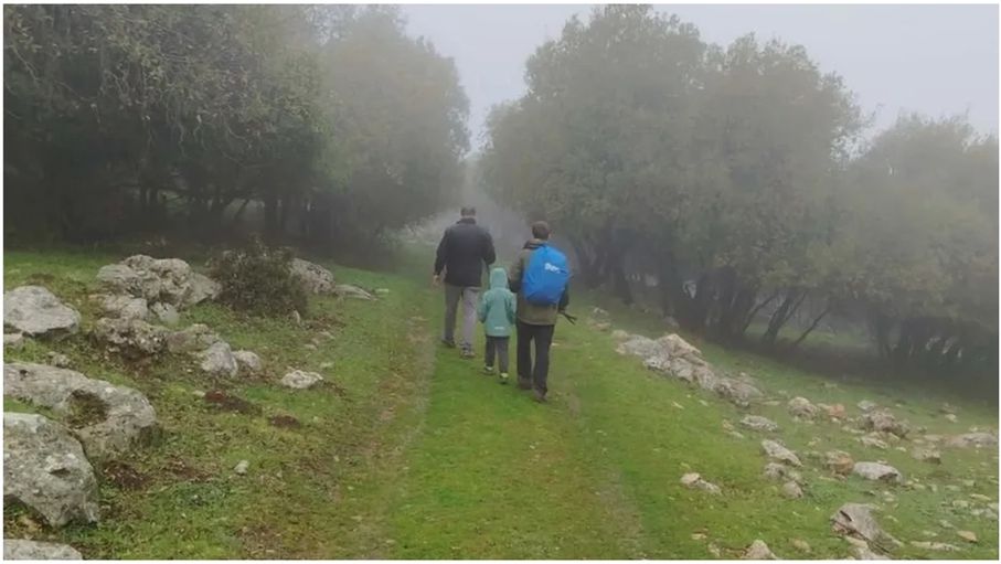 المسارات السياحية في عجلون.. طبيعة خلابة وخدمات غائبة