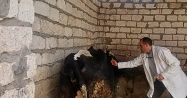 محافظ المنيا يتابع نتائج حملة تحصين الماشية ضد الجلد العقدى وجدرى الأغنام