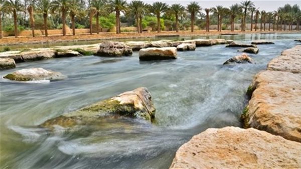 وزير الري الأسبق يكشف خطورة مشروع ملء منخفض القطارة بمياه البحر المتوسط (فيديو)
