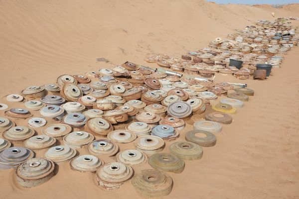 مشروع "مسام" ينزع (798) لغمًا من مختلف الأراضي اليمنية خلال أسبوع