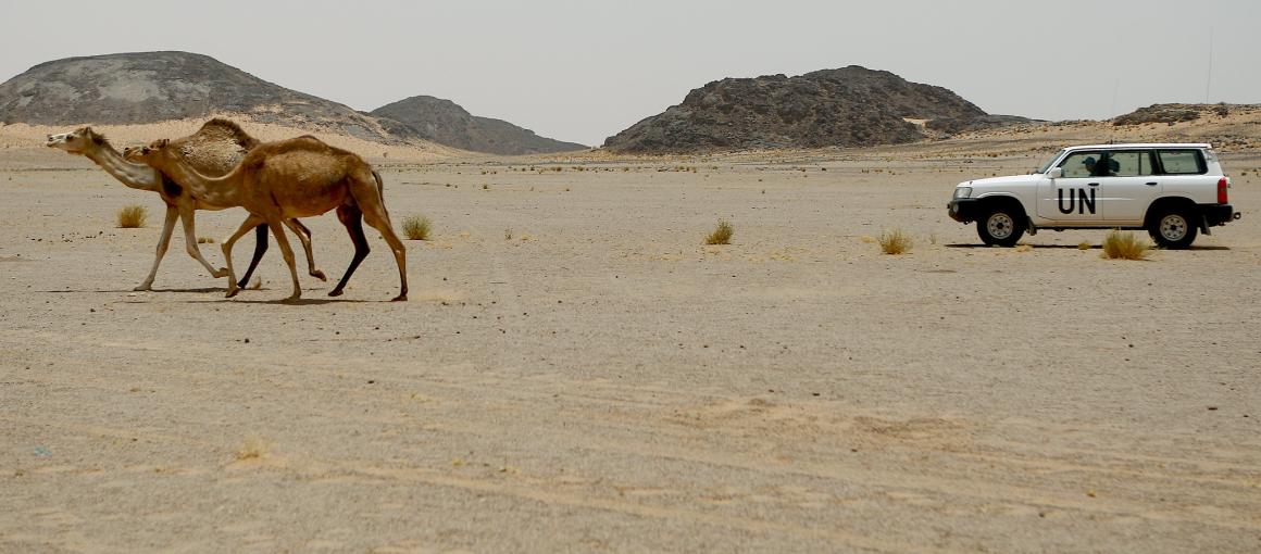 إدارة ترامب تعلن عن "مراجعة استراتيجية" لبعثة المينورسو في الصحراء